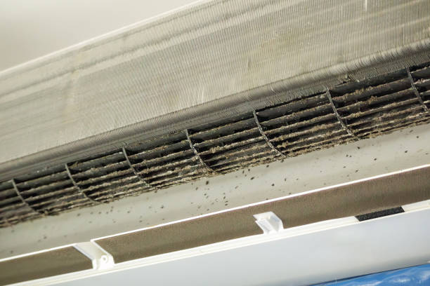 Best Local Air Duct Cleaning Services  in Teviston, CA